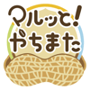 マルッと!やちまた_ロゴ